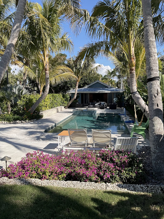 Estate pool terrace with lounge chairs, poolhouse loggia, mature palms and a bougainvillea bed edged in white stone.